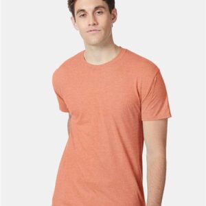 Hanes - Perfect-T Triblend T-Shirt - 42TB