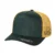 D.GREEN/GOLD